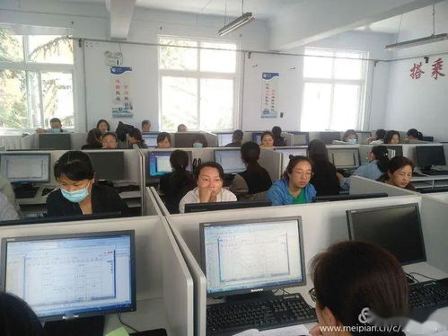 鹤壁二中开展电脑基本操作及技巧培训活动，助力提升信息素养